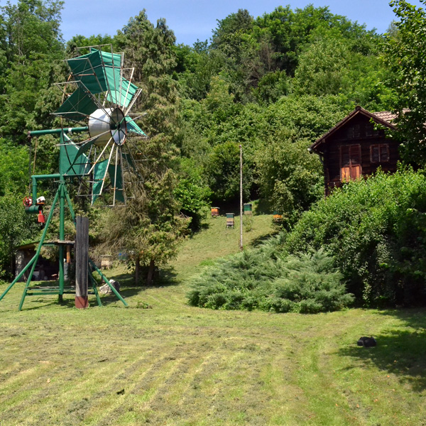 Efikasnost